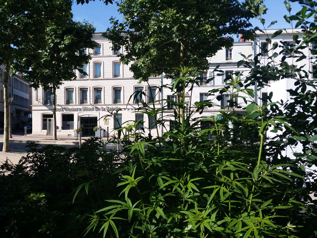 Façade de l'hôtel