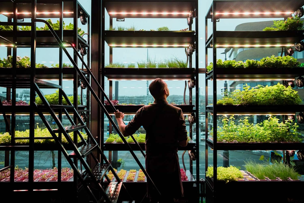 Restaurant Locals - Greenhouse