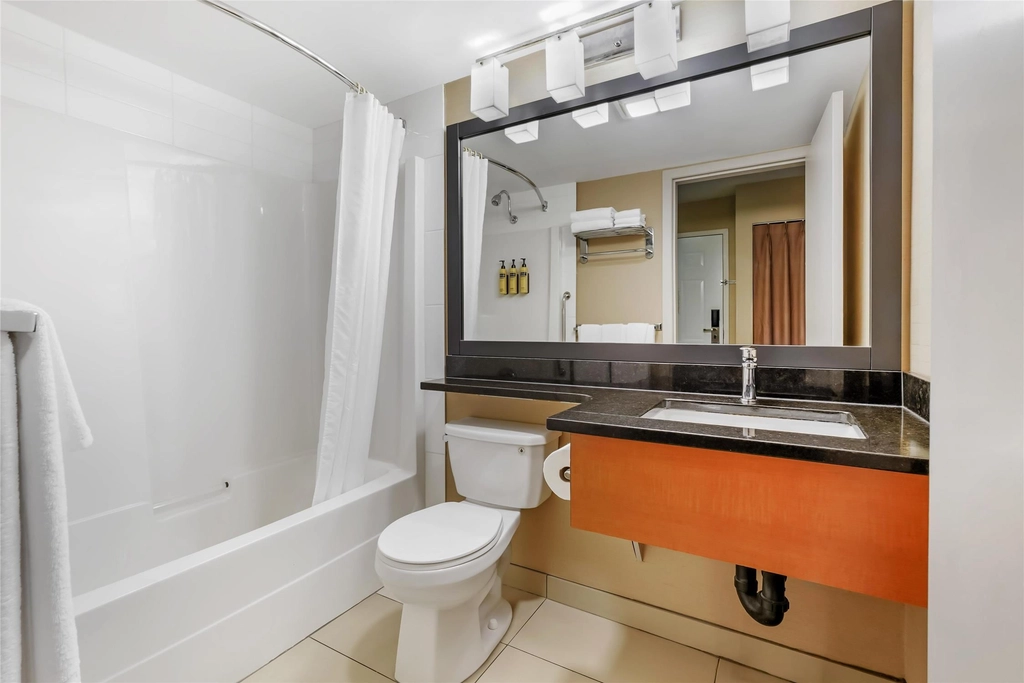 1 Queen w/Sofa bathroom