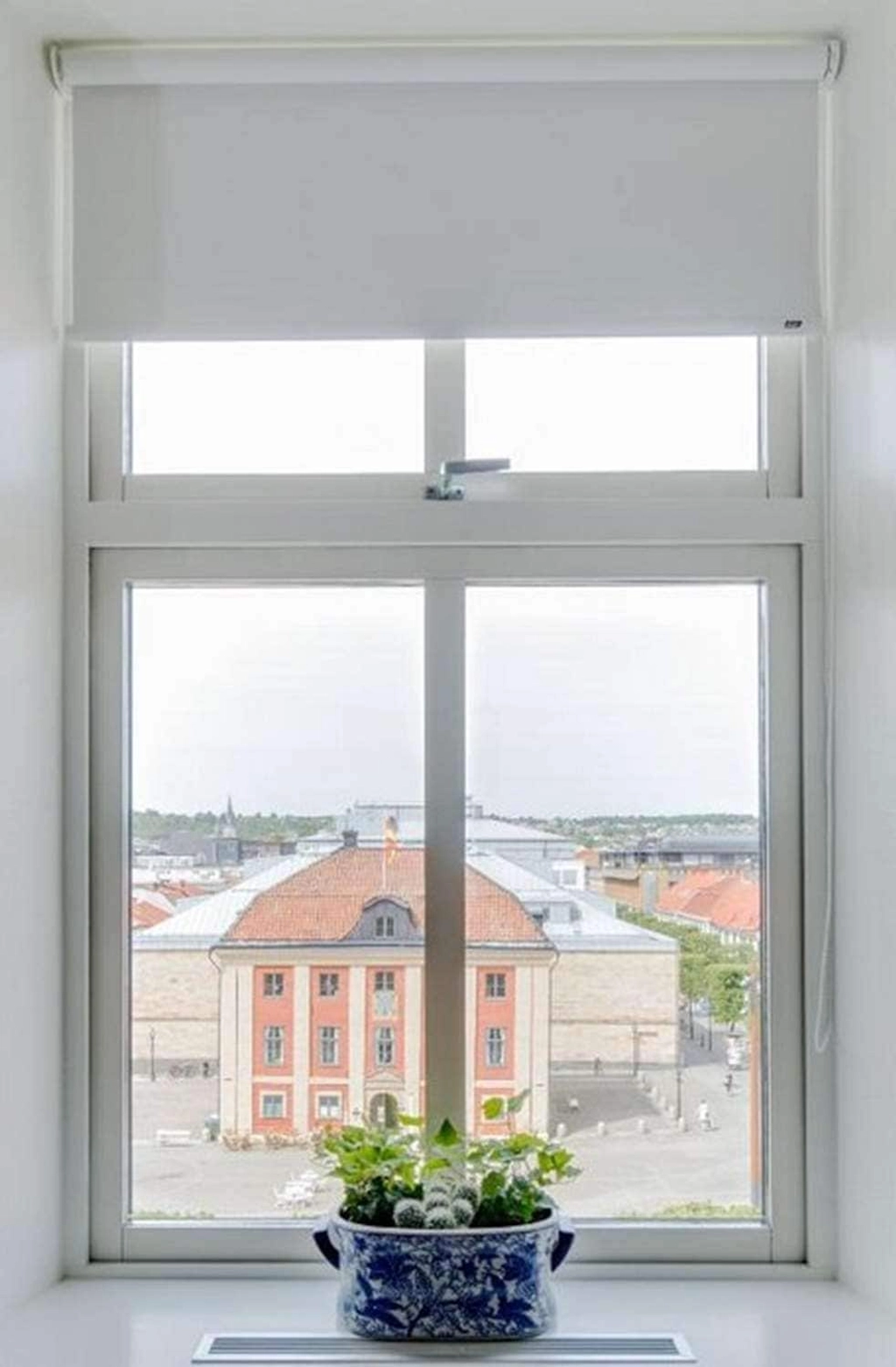 Window view