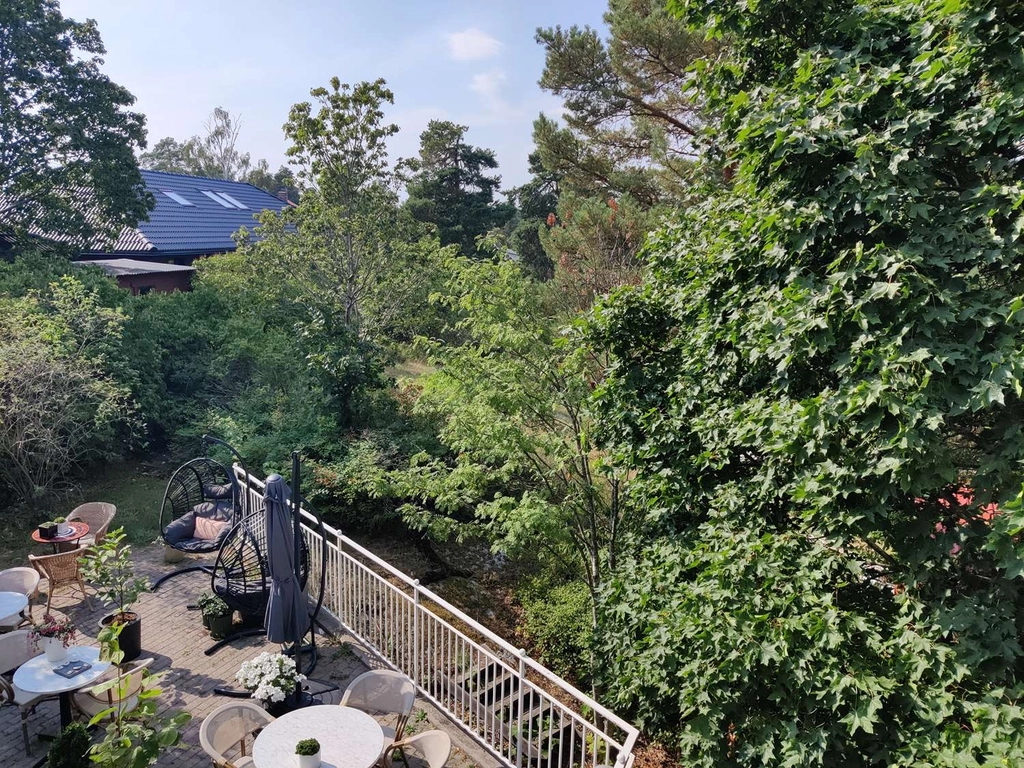 Garden view