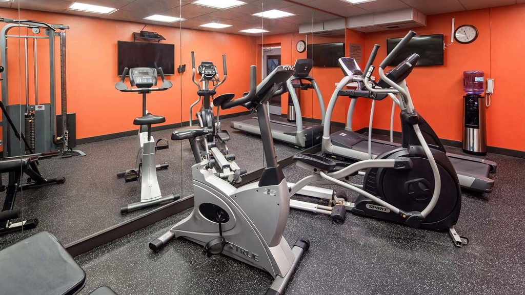 Fitness