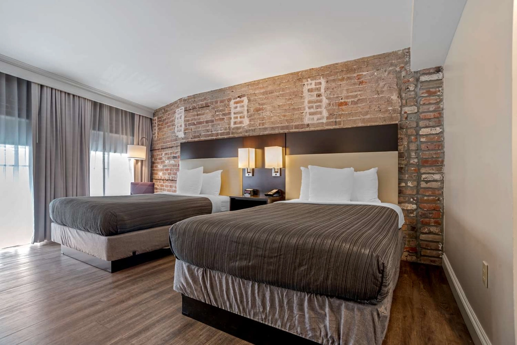 Queen Suite