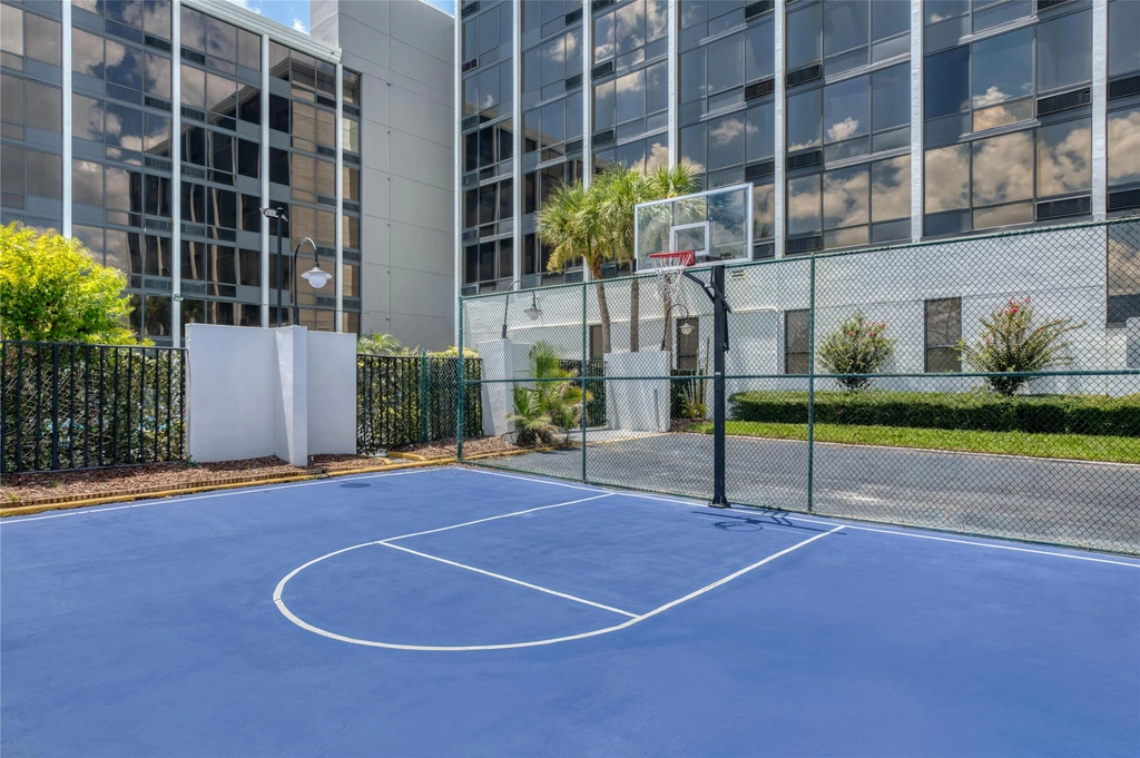 Basketball Court
