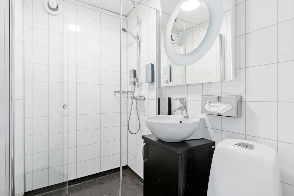 Standard Bathroom Dalecarlia